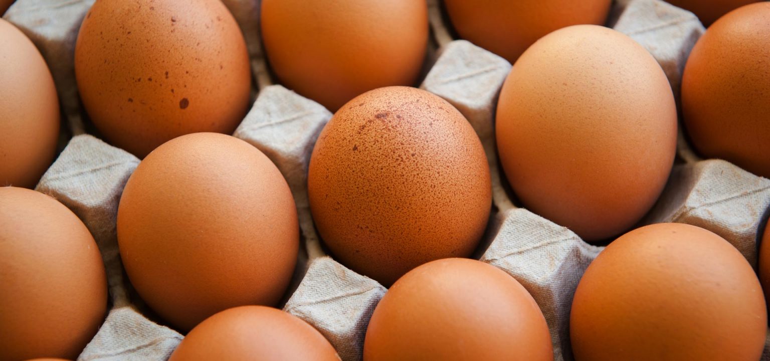 Protect your organization’s fragile taxexempt status Johnson Block